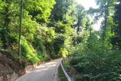 #24424 Fabbricato rurale e terreni agricoli incolti