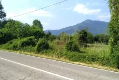 #24424 Fabbricato rurale e terreni agricoli incolti