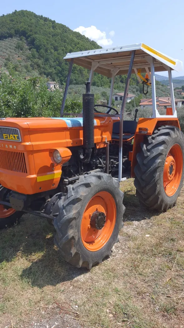 FIAT 500 DT + Carrello