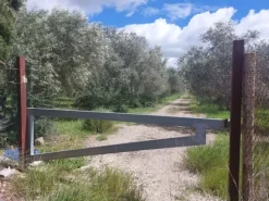 #26150 Fondo rustico con terreni e fabbricati collabenti