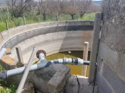 #26150 Fondo rustico con terreni e fabbricati collabenti