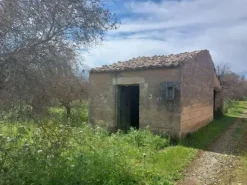 #26150 Fondo rustico con terreni e fabbricati collabenti