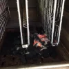 Forno a carbone da interno (barbecue) canna fumaria