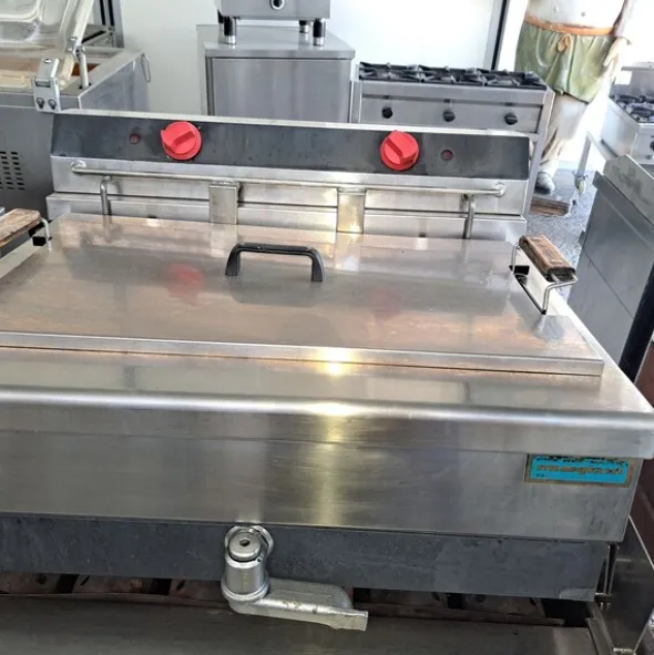 44#8391 Friggitrice elettrica pasticceria