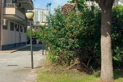 #24734 Frustolo di terreno in zona commerciale