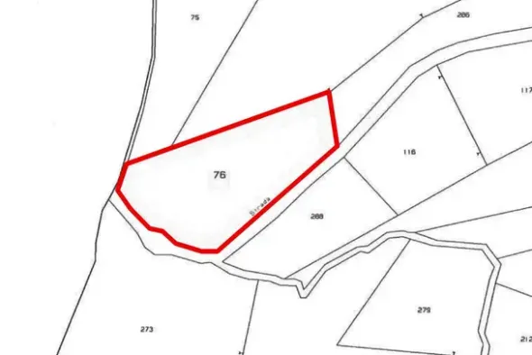 #22776 Frustolo in contesto di alta montagna