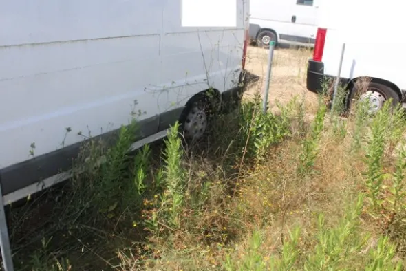31#5495 Furgone Fiat Ducato