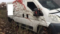 1#6805 Furgone Fiat Ducato