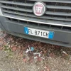 5#7455 Furgone Fiat Ducato 115 Multijet