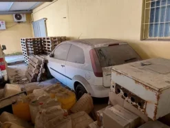 1#6577 Furgone Ford Fiesta