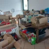 2#9123 Giochi vestiti ed accessori per campi estivi