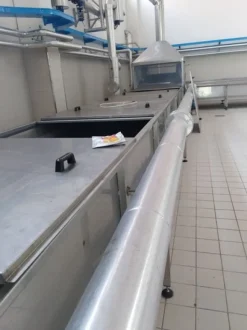 1#4897 Impianto di cottura e pastorizzazione frutta e verdura