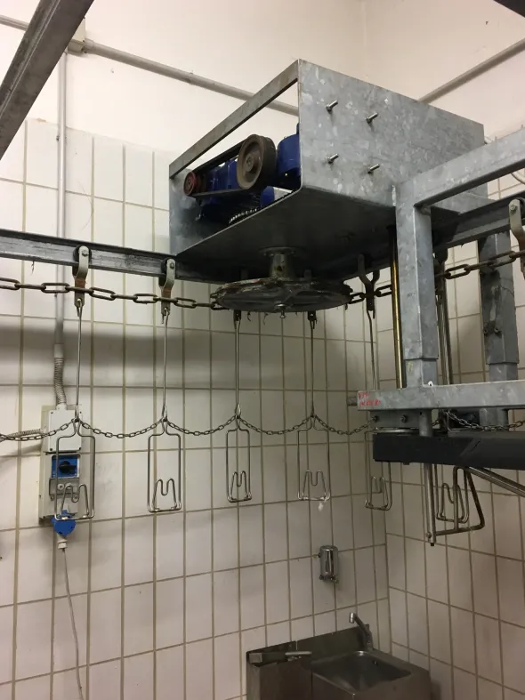 Impianto macellazione avicunicoli
