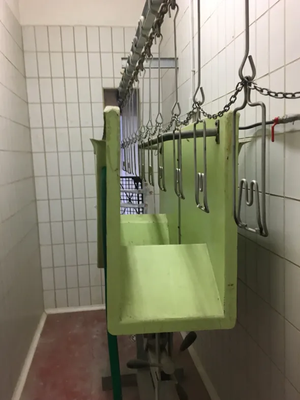 Impianto macellazione avicunicoli