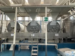 Impianto per la spazzolatura, salatura e tostatura