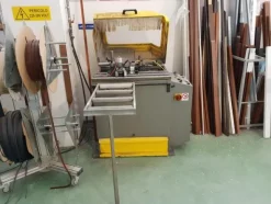 5#4375 Intestatrice Intex e pantografo Rinaldi