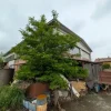 #2640062 Laboratorio artigianale