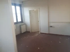 #8982 Laboratorio artigianale di 380 mq con corte pertinenziale