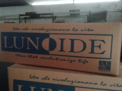 LAMPIONI NUOVI STRADALI LUNOIDE MOD. VP