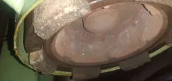 Lapidelloabandiera