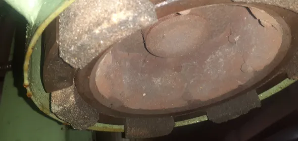 Lapidelloabandiera