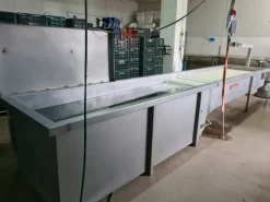 Lavorazione frutta e verdura industriale