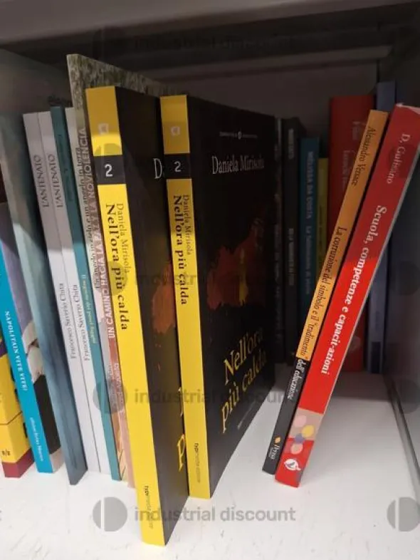1#10093 Libri di storia locale e guide al territorio