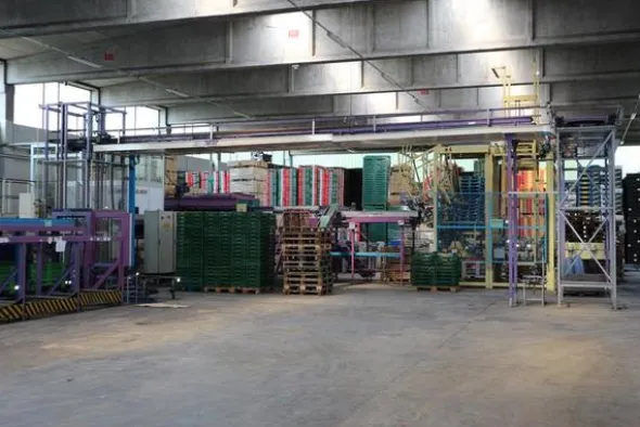 4#2047 Linea di calibratura e confezionamento frutta Unitec