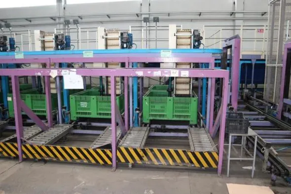 4#2047 Linea di calibratura e confezionamento frutta Unitec