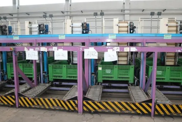 4#2047 Linea di calibratura e confezionamento frutta Unitec