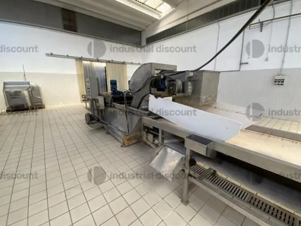 29#9550 Linea di lavaggio ortaggi