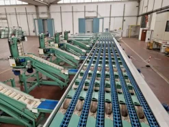 1#69013 Linea di lavorazione e confezionamento mele Ito
