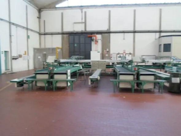 1#69013 Linea di lavorazione e confezionamento mele Ito