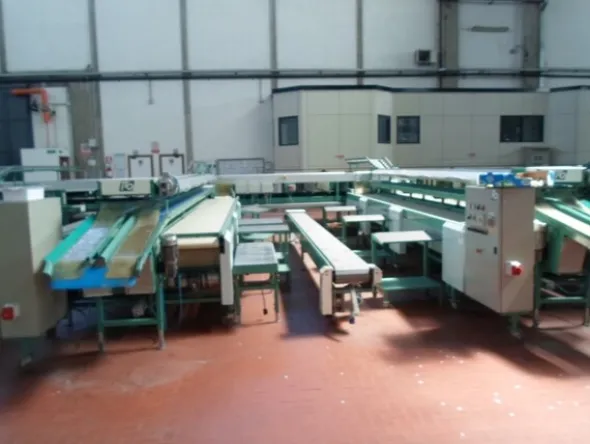 1#69013 Linea di lavorazione e confezionamento mele Ito