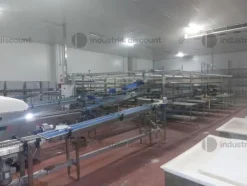 1#9025 Linea di lavorazione frutta