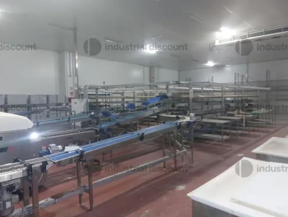 1#9025 Linea di lavorazione frutta