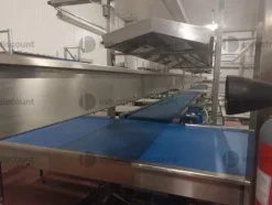 1#9025 Linea di lavorazione frutta