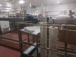 1#9025 Linea di lavorazione frutta