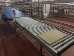 1#9025 Linea di lavorazione frutta