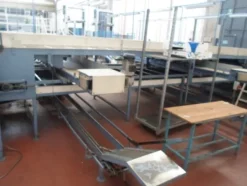 4#69013 Linea di selezione e confezionamento kiwi-pesche