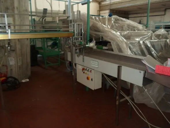 3#69013 Linea di selezione e confezionamento sacchetti/cestini mele