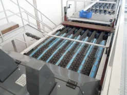 6#69013 Linea di selezione e confezionamento Sorma