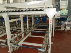 6#69013 Linea di selezione e confezionamento Sorma