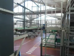 6#69013 Linea di selezione e confezionamento Sorma