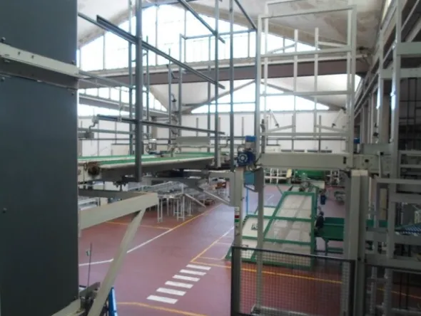 6#69013 Linea di selezione e confezionamento Sorma