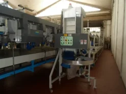 6#69013 Linea di selezione e confezionamento Sorma