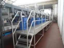 6#69013 Linea di selezione e confezionamento Sorma