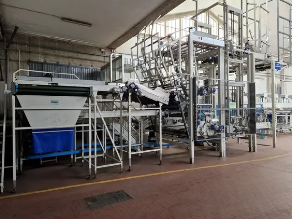 6#69013 Linea di selezione e confezionamento Sorma
