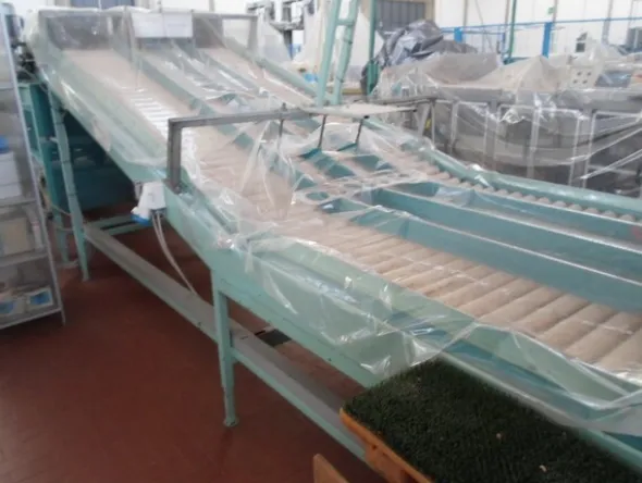 7#69013 Linea di selezione e confezionamento frutta