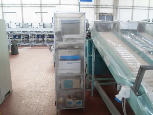 7#69013 Linea di selezione e confezionamento frutta